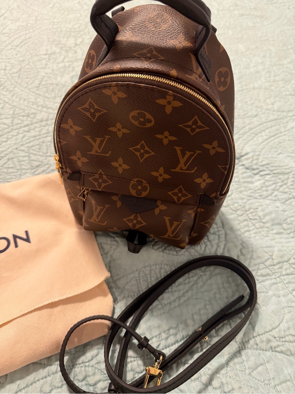 Louis Vuitton Palm Spring Mini Backpack with Gold Hardware - Picture 2 of 4